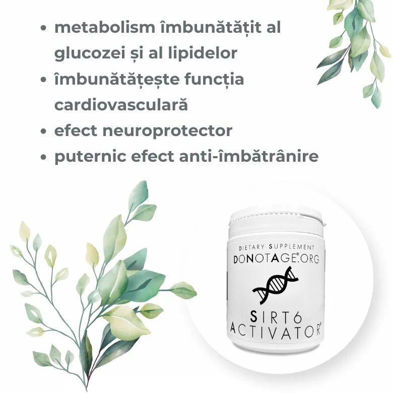 SIRT6 Activator DoNotAge